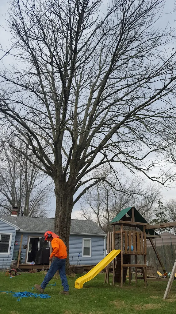 S & S Property Maintenance